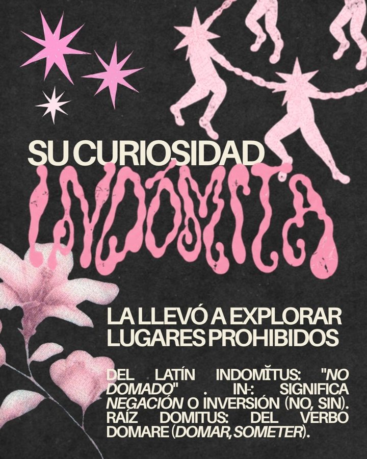 Post de la serie Su curiosidad indómita