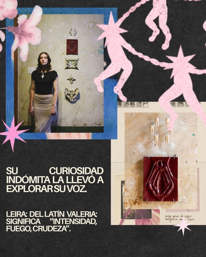 Post de la serie Su curiosidad indómita