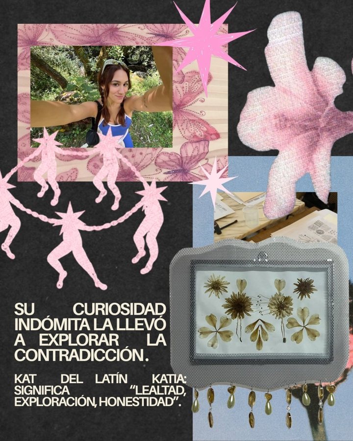 Post de la serie Su curiosidad indómita