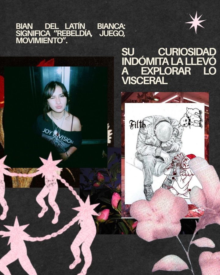 Post de la serie Su curiosidad indómita