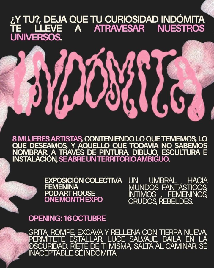 Post de la serie Su curiosidad indómita
